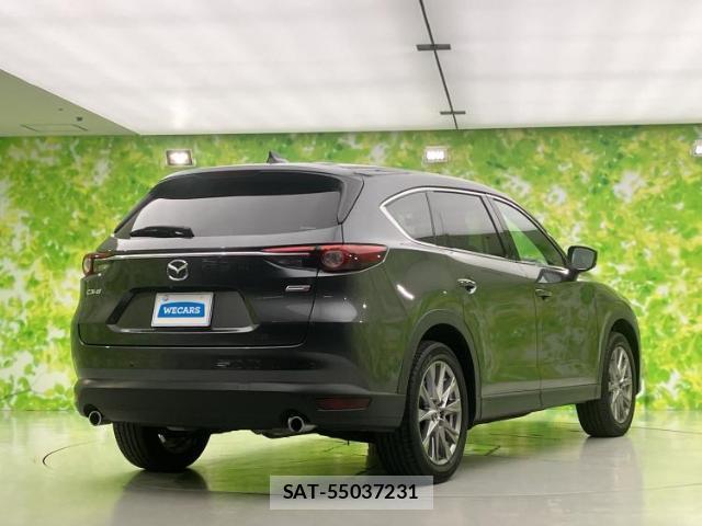 Mazda CX-8 2019-03 8056102-2