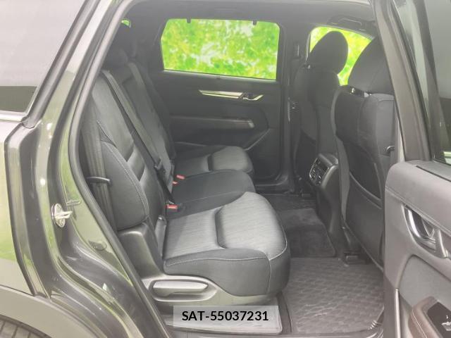 Mazda CX-8 2019-03 8056102-4