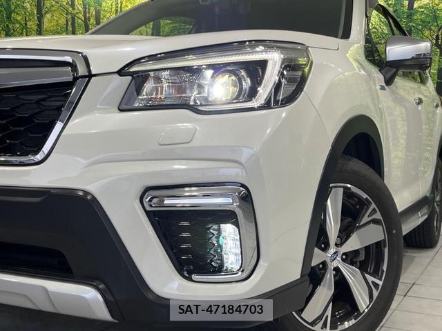 Subaru FORESTER 2019-11 8053643-11