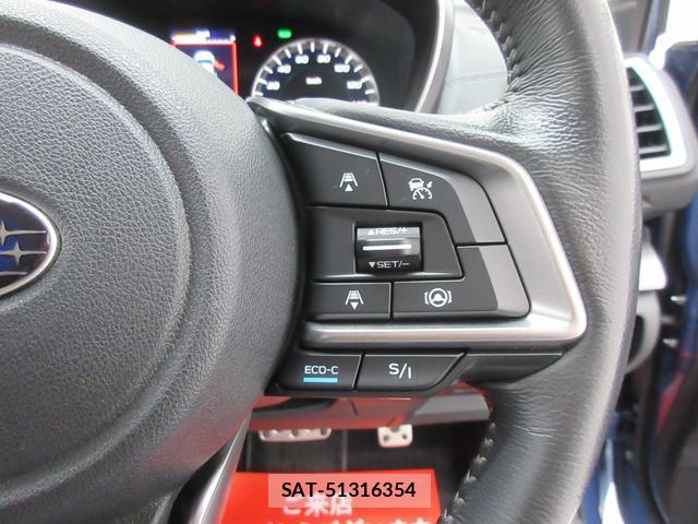 Subaru IMPREZA SPORTS 2021-06 8053436-12