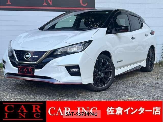 Nissan LEAF 2019-06 8053946-0