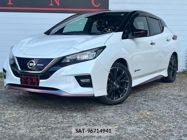 Nissan LEAF 2019-06 8053946-1