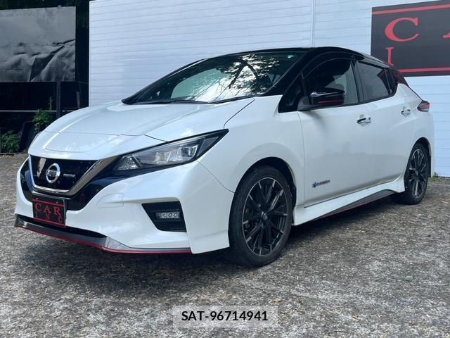 Nissan LEAF 2019-06 8053946-9
