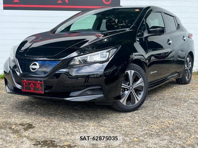 Nissan LEAF 2021-09 8053948-1