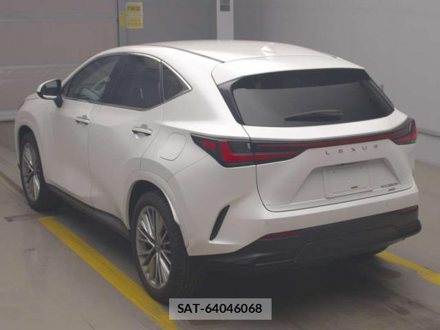 Lexus NX 2025-03 8053322-4