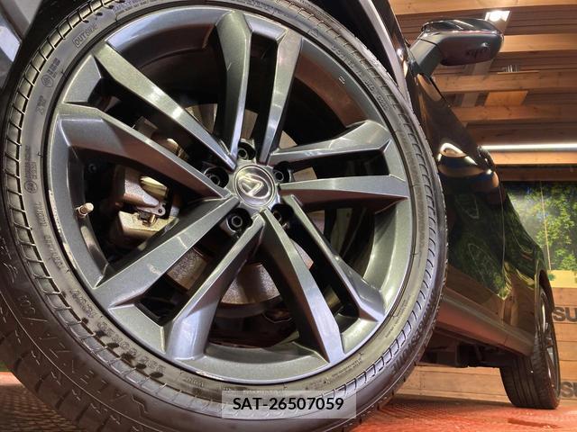 Lexus NX 2023-02 8053535-12