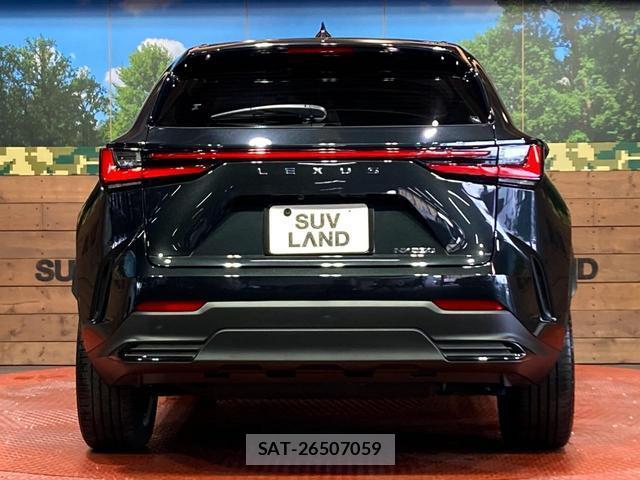 Lexus NX 2023-02 8053535-14