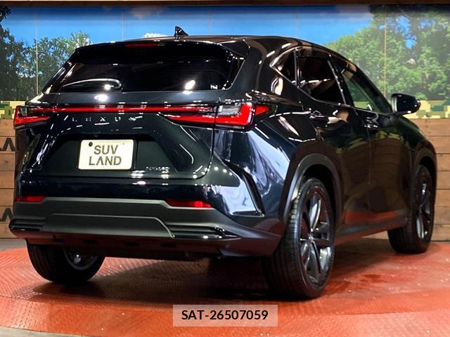 Lexus NX 2023-02 8053535-16