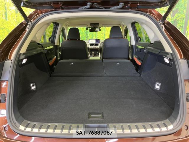 Lexus NX 2019-10 8053749-10