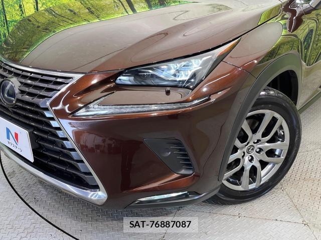 Lexus NX 2019-10 8053749-11