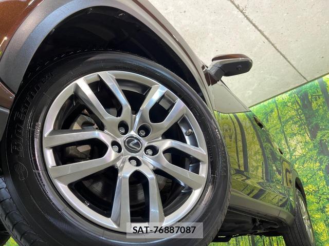 Lexus NX 2019-10 8053749-12