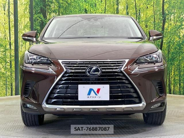 Lexus NX 2019-10 8053749-13