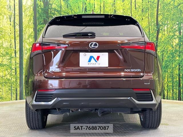 Lexus NX 2019-10 8053749-14
