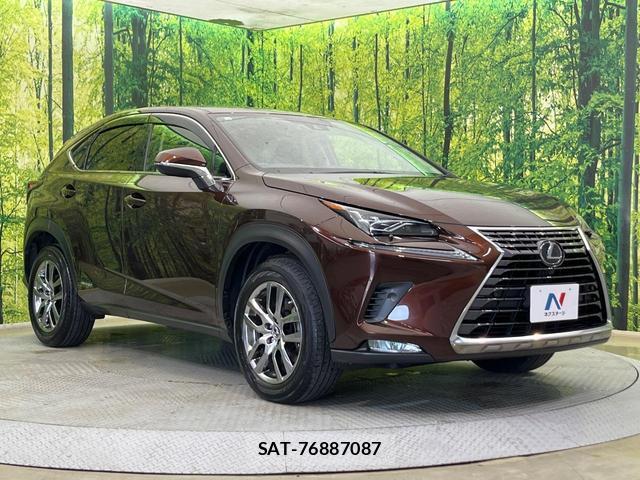 Lexus NX 2019-10 8053749-15