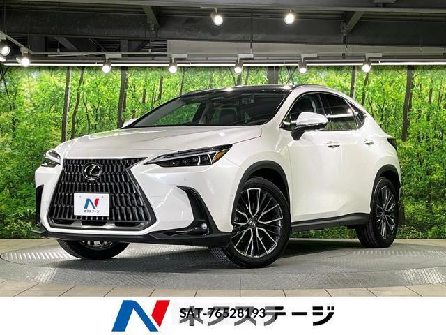 Lexus NX 2023-07 8053772-0