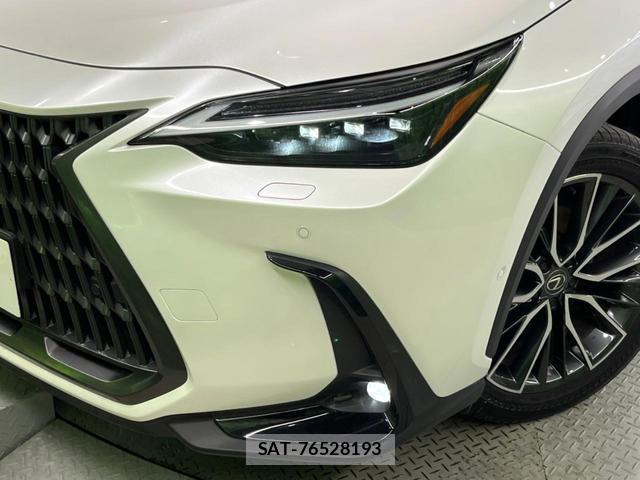 Lexus NX 2023-07 8053772-11