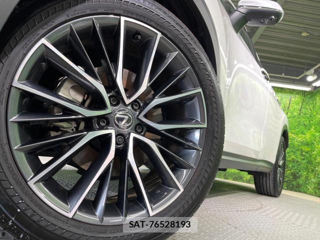 Lexus NX 2023-07 8053772-12