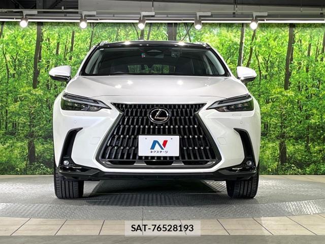 Lexus NX 2023-07 8053772-13