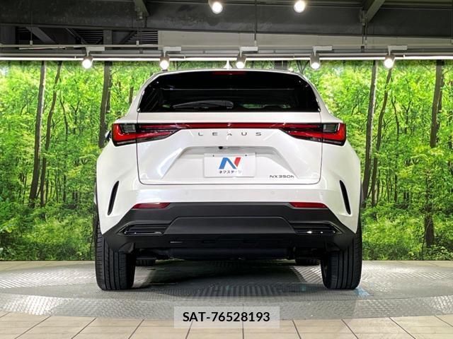 Lexus NX 2023-07 8053772-14