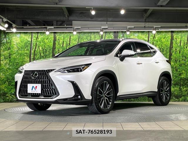 Lexus NX 2023-07 8053772-15