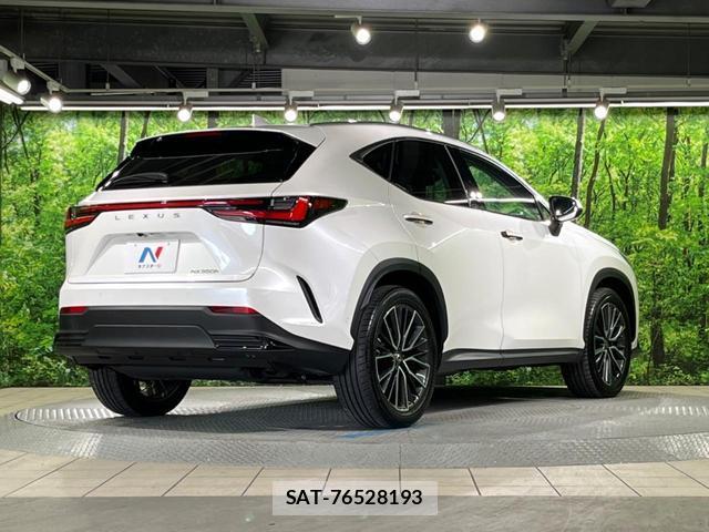 Lexus NX 2023-07 8053772-16