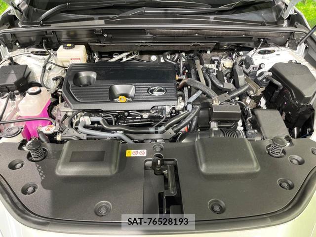Lexus NX 2023-07 8053772-17
