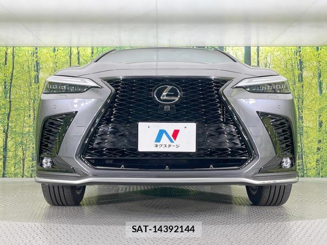 Lexus NX 2024-01 8054033-13
