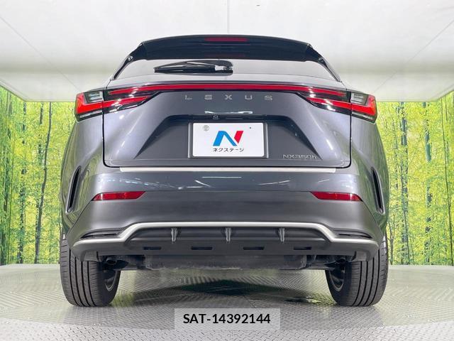 Lexus NX 2024-01 8054033-14