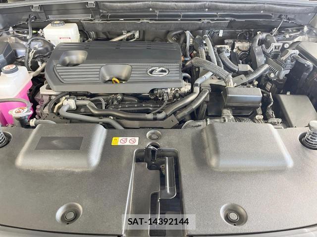 Lexus NX 2024-01 8054033-17