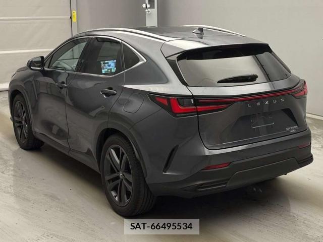 Lexus NX 2023-12 8055063-1