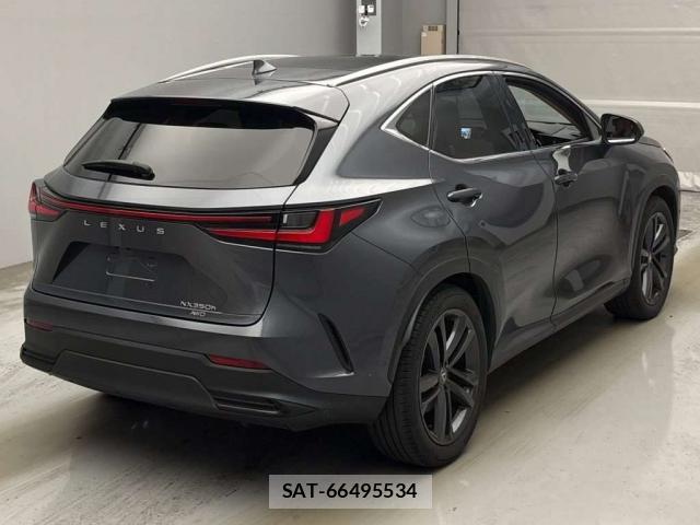 Lexus NX 2023-12 8055063-10
