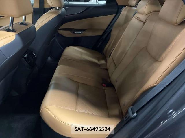 Lexus NX 2023-12 8055063-6