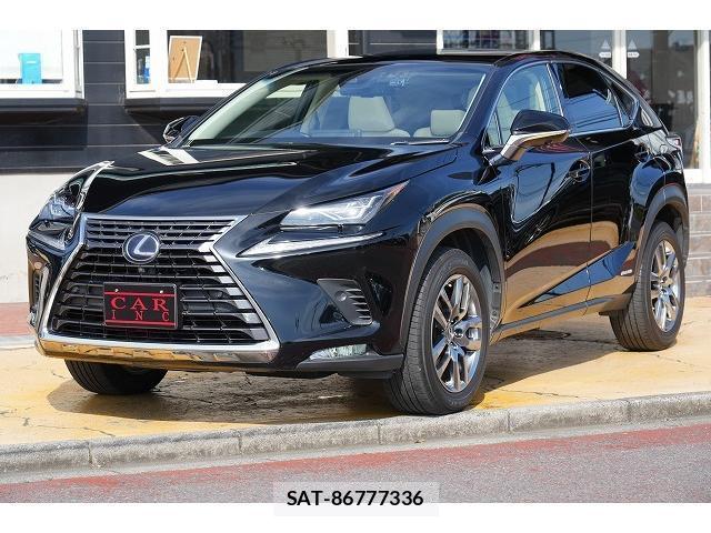 Lexus NX 2018-02 8055467-19