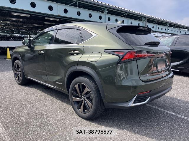 Lexus NX 2021-09 8055826-1