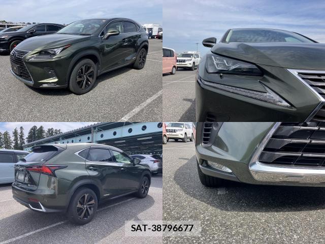 Lexus NX 2021-09 8055826-3