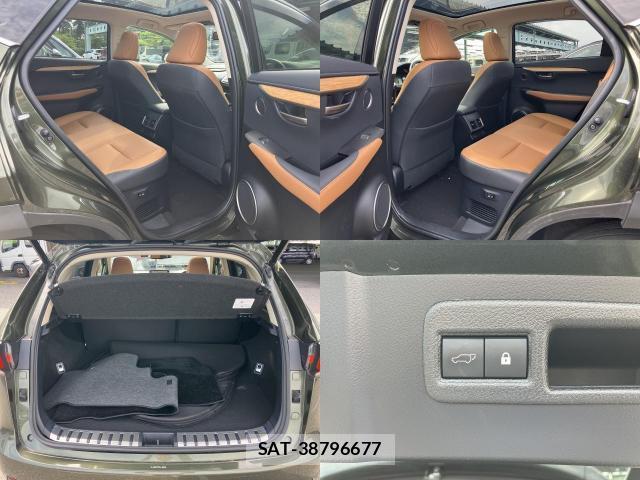 Lexus NX 2021-09 8055826-6