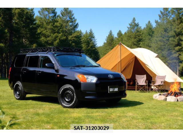Toyota PROBOX VAN 2016-09 8055697-0