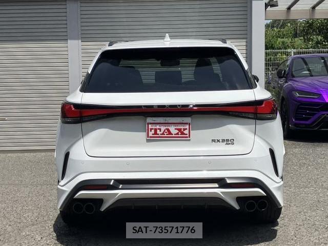 Lexus RX 2024-04 8053249-16