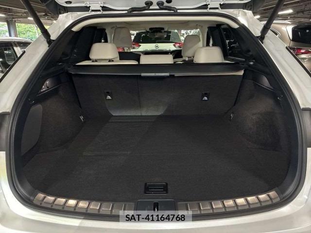 Lexus RX 2023-06 8053325-9