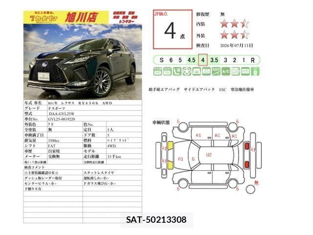 Lexus RX 2019-10 8053409-12