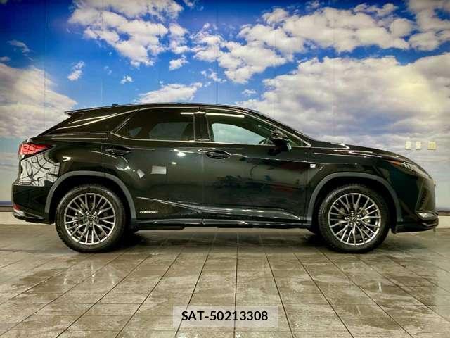 Lexus RX 2019-10 8053409-14