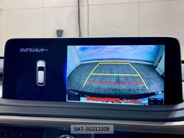 Lexus RX 2019-10 8053409-8