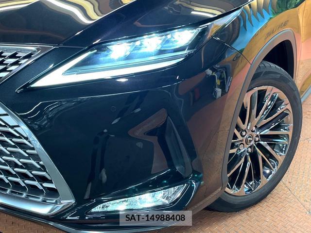 Lexus RX 2022-07 8004974-13
