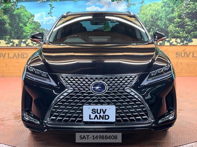 Lexus RX 2022-07 8004974-15