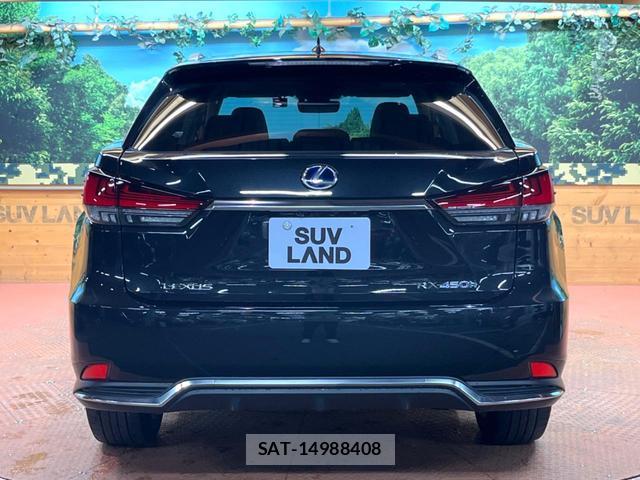 Lexus RX 2022-07 8004974-16
