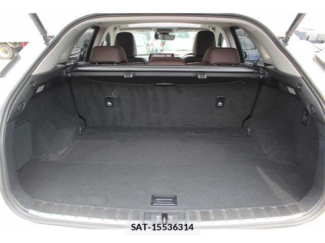 Lexus RX 2017-06 8054942-17