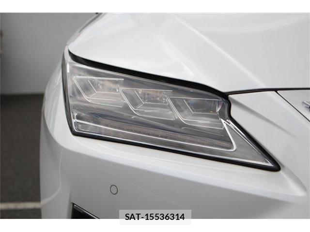 Lexus RX 2017-06 8054942-6