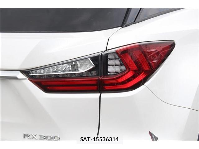 Lexus RX 2017-06 8054942-7