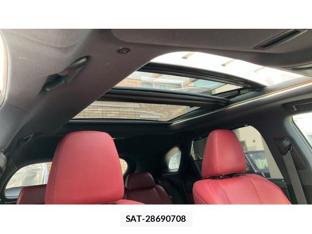 Lexus RX 2018-01 8055415-15