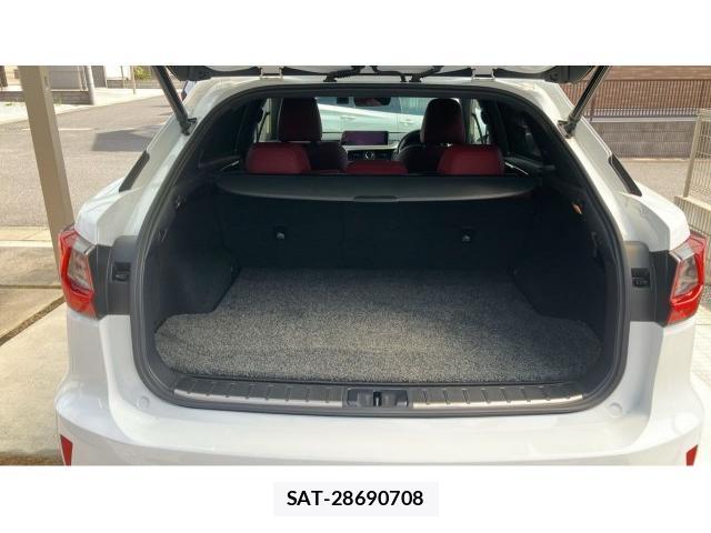 Lexus RX 2018-01 8055415-17